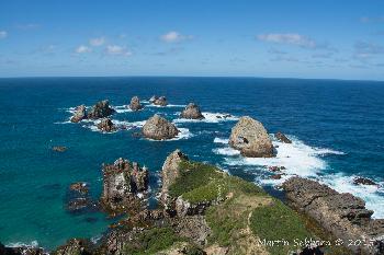 The Nuggets at Nugget Point