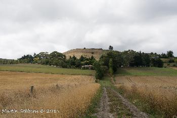 Our accommodation - nestling in the trees!