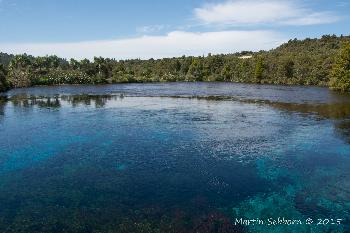 Waikoropupu Springs - huge fresh water spring