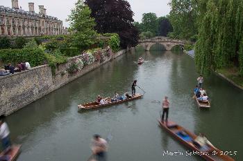 Movement - On the Cam