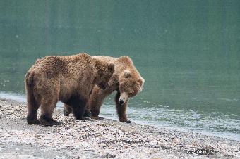 Young male and female