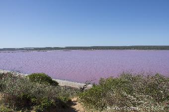 The Pink Lake!