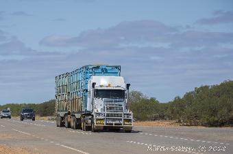 A Small Road Train
