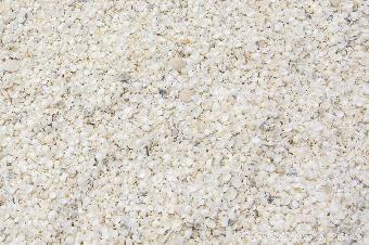 The shells making up the beach