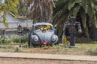 Garden Art! - Southern Cross