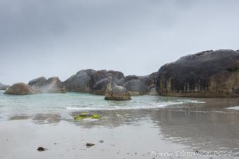 Elephant Cove - it decided to chuck it down here..