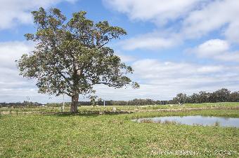Millars Farm - wonderful ice cream
