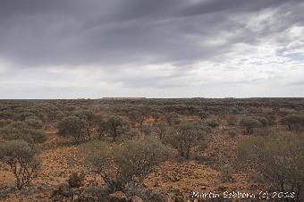 The vastness of the outback