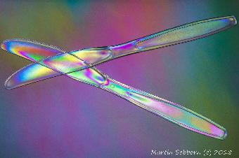 Polarised light through polarised filter