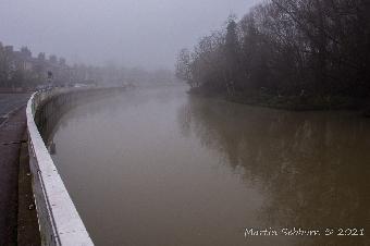 Misty River Cam